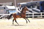 SBM_001380