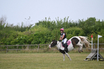 WJ6_3331