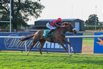 140826-Race 4-Raging Raj-1323