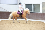 SBM_008350
