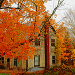 Country Homestead Autumn Foliage New Brunswick Canada