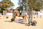SBM_61881