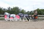 SBM_001197
