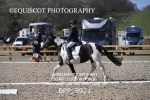BPP_9921