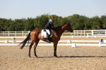 SBM_006864