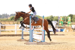 SBM_000537