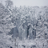 Winter-Woods IMG_2-4279