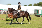 SBM_18393
