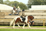 SBM_68192