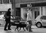 Crossing The High Street
