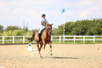 SBM_002233