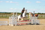 SBM_005087