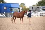 SBM_08220