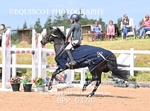 BPP_6374