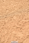231122A-135402-00544