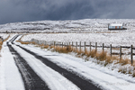 Tracks in the Snow - Antrim Hills