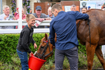 170826-Race 5-Our Absent Friends-5530