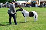 SBM_03440