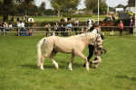 SBM_62777