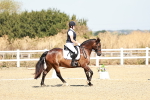 SBM_017350