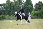 WJ6_6670