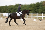 SBM_015600