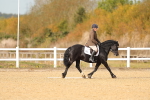 SBM_010478