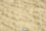 230806A-101036-00956