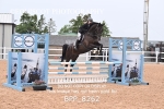 BPP_8262