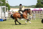 SBM_06913