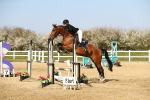 SBM_001215