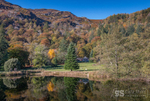 Dol y Cae, autumn colour