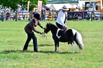 SBM_03491
