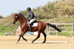 SBM_001668