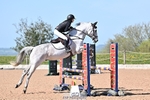 British Novice and 90cm Open portfolio