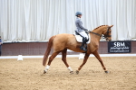 SBM_007937