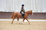 SBM_001040