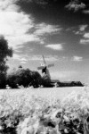 Skidby Mill - IR