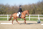 SBM_003374