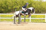 SBM_004456