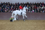SBM_003626