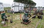 Guernsey Agricultural Show 2021-19