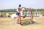 SBM_000446