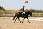 SBM_005640