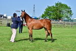 SBM_01099