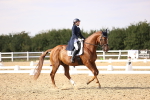 SBM_015504