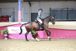 SBM_02191