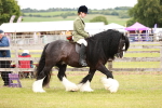 SBM_06091