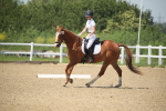 SBM_009480