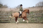 SBM_006077